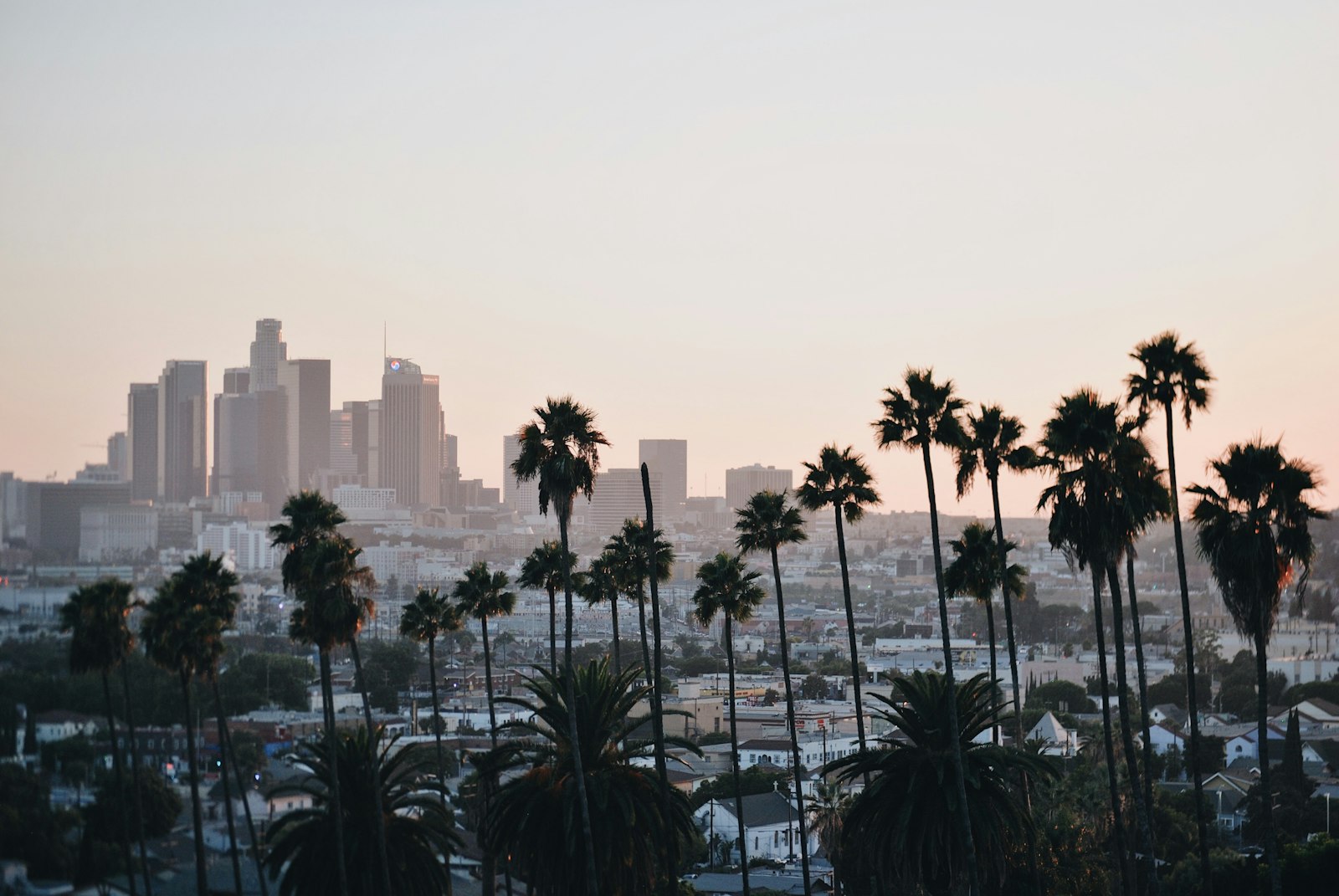 Downtown Los Angeles skyline behind palm trees at dusk